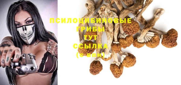 ECSTASY Ельня