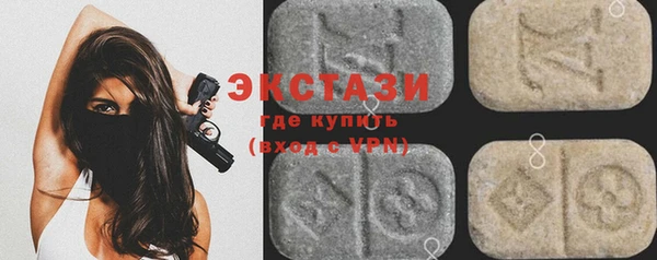 ECSTASY Ельня