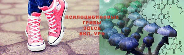 ECSTASY Ельня