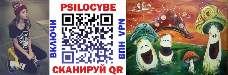 гидра ТОР  Зея  Псилоцибиновые грибы прущие грибы 